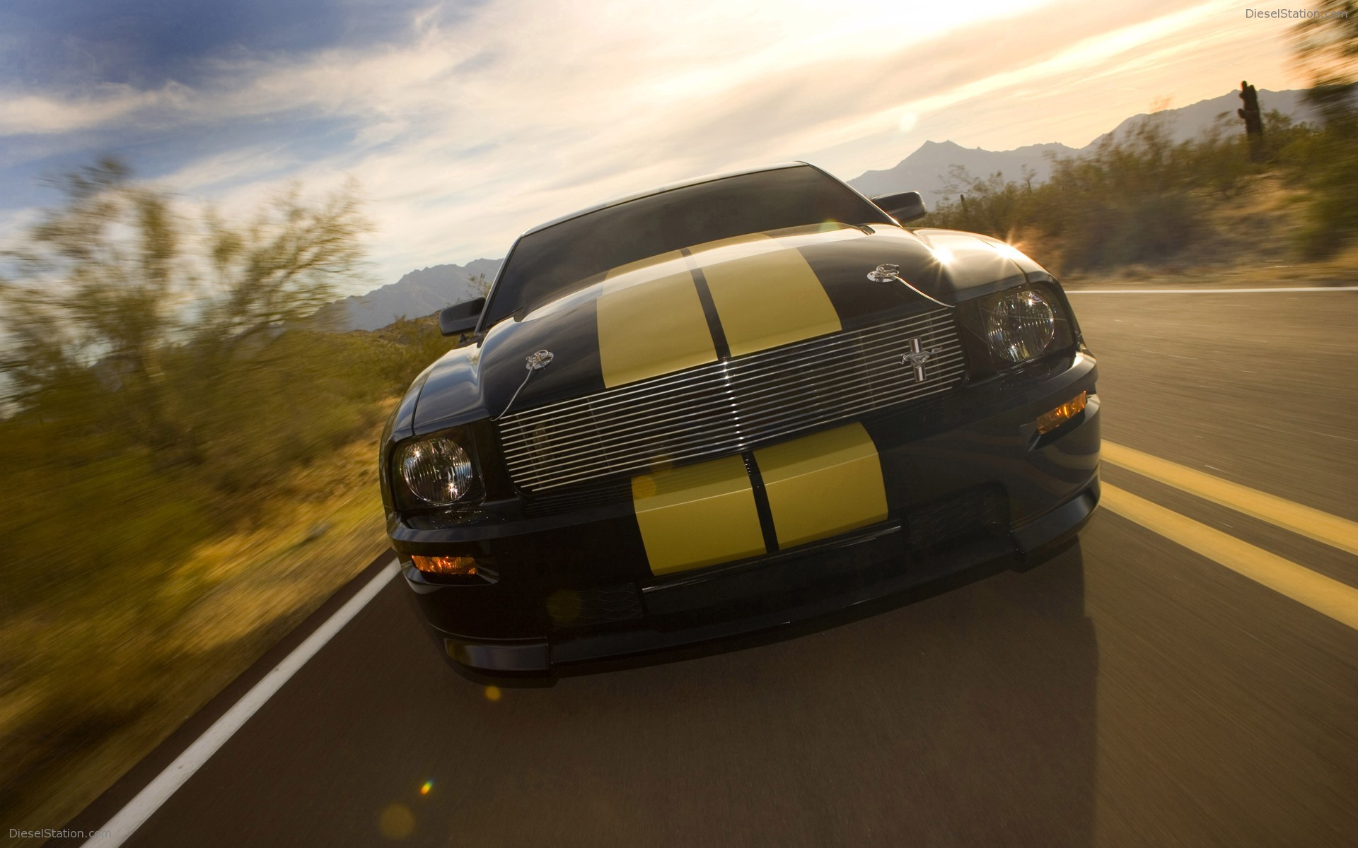 Ford Shelby GT-H